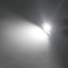 This is an LED car license plate light effect diagram FESTOON BULBS